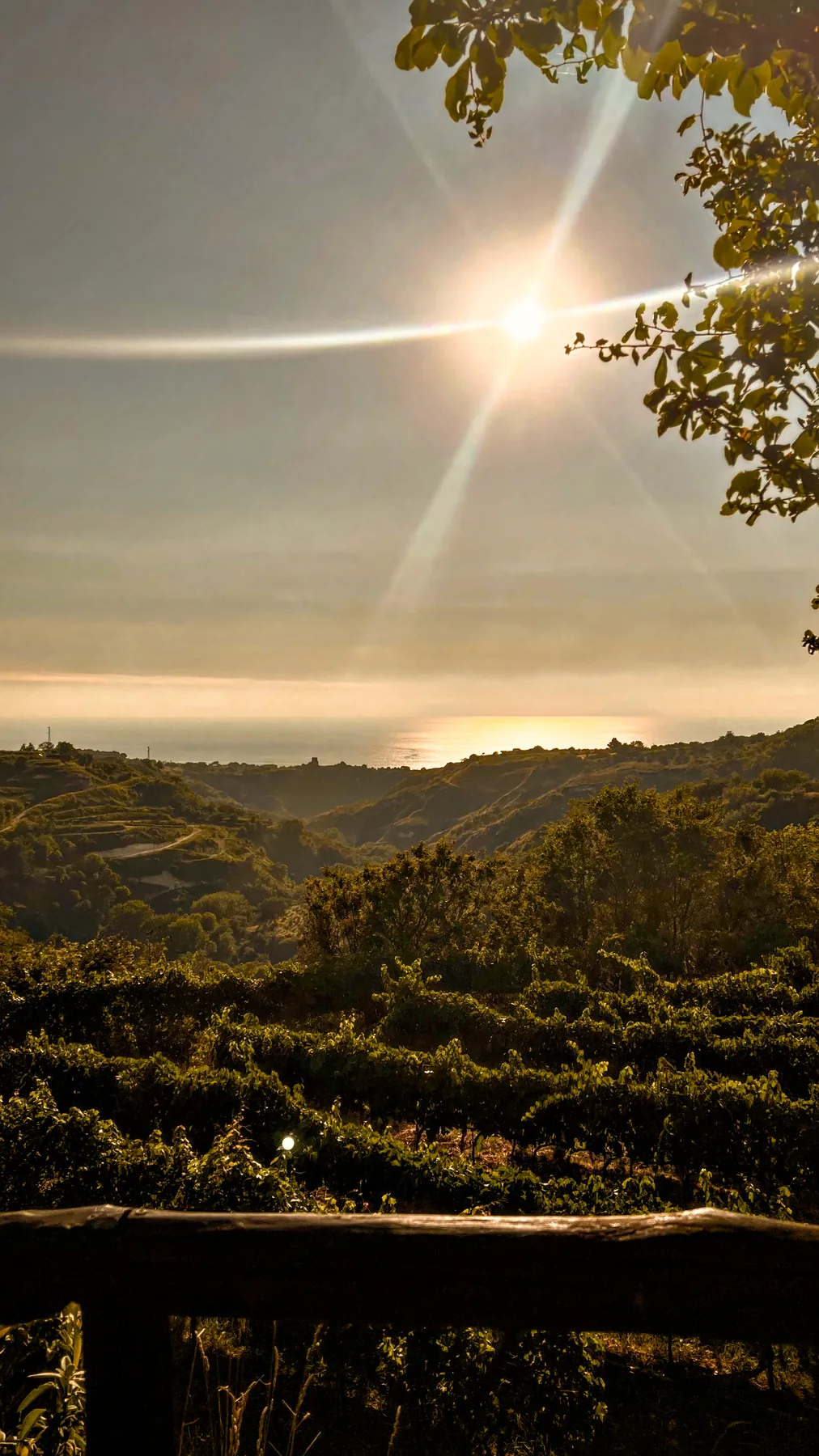 The hills and landscape of Drapia, Calabria, Southern Italy
